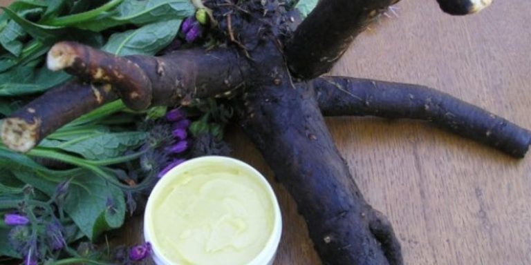  RECEPT ZA MAST OD GAVEZA, prirodni lek za bolove