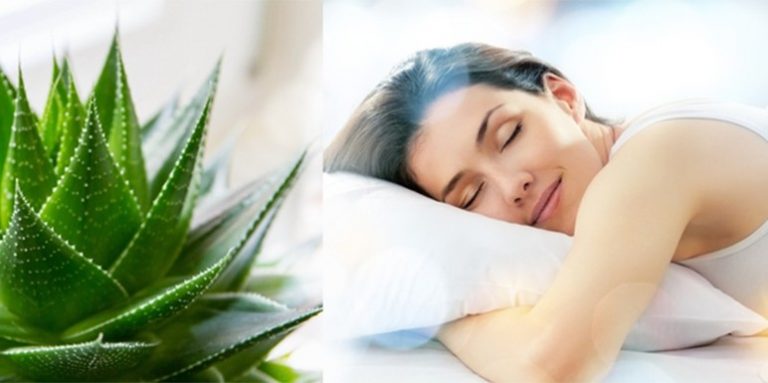 Biljke koje treba imati u spavaćoj sobi jer pomažu da lakše zaspite i imate čvršći san