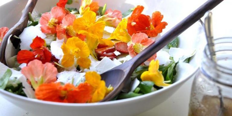 Jestivo cveće: Raskoš i zdravlje na tanjiru
