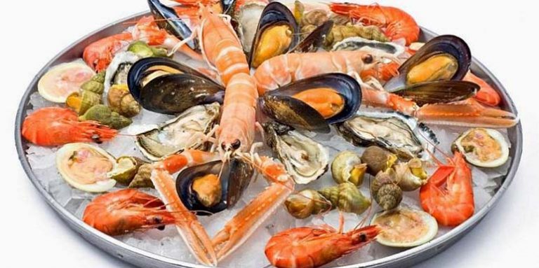 Lignje, Dagnje, Hobotnica, Škampi za dugovečnost