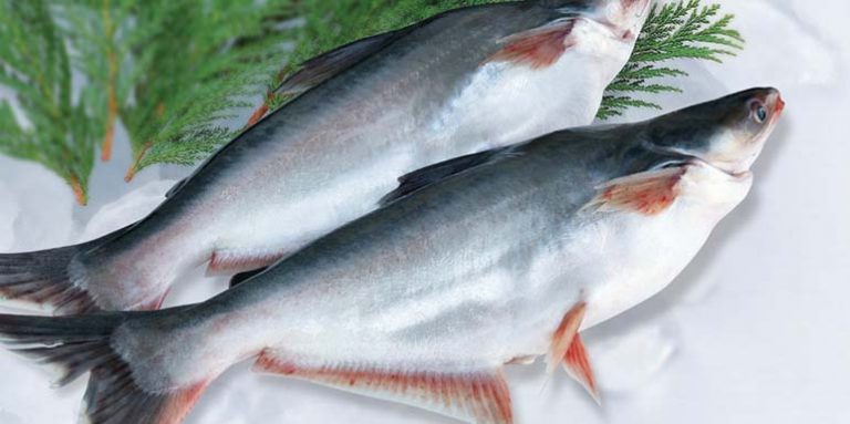 SOM PANGASIUS: Kad pročitate o ovoj ribi, da li ćete je ponovo jesti?