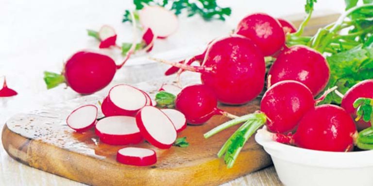 Rotkvice kao lek kod bronhitisa, kašlja, infekcija, srčanih oboljena, nekih vrsta tumora, vitiliga, ekcema, osipa…