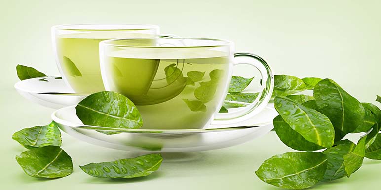 Čaj od konoplje, zašto je toliko zdrav? | Bio Terra