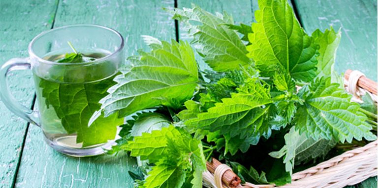 Kopriva – Štiti srce, u trudnoći, jača kosti, za artritis i bolove, za astmu i alergije (recepti za sirup I sok)