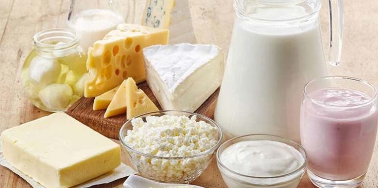 Prirodni probiotici – Zašto su važni za zdravlje i imunitet?