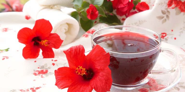 Čaj od hibiskusa – za šta je sve dobar i recepti kako ga napraviti