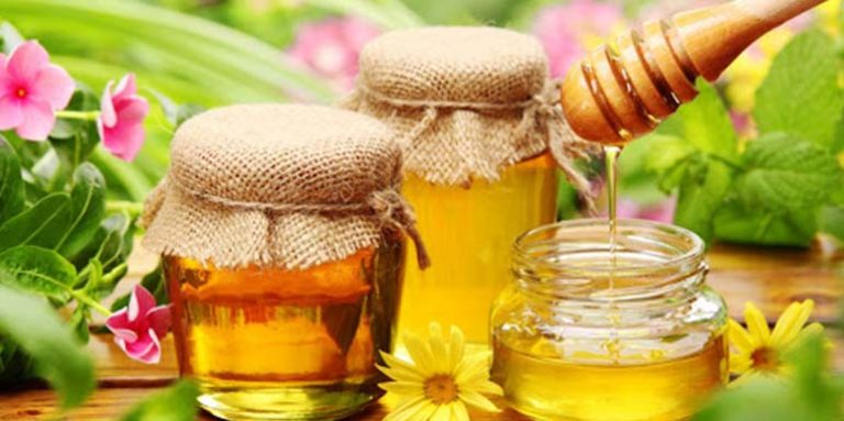 Recepti sa medom i lekovitim biljem: Za jačanje imuniteta, protiv prehlade i gripa, oboljenje jetre, bolesti bubrega, protiv alergija…