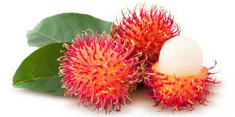 Rambutan: Pomaže kod dijabetesa i kardiovaskularnih oboljenja, za lep i zdrav izgled kose i kože