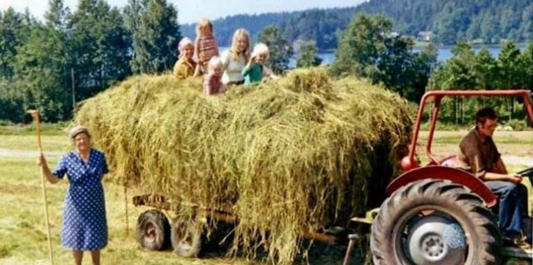 Ono što te selo naučilo, neće ni škola ni grad: Ovako smo odrastali u prirodi!