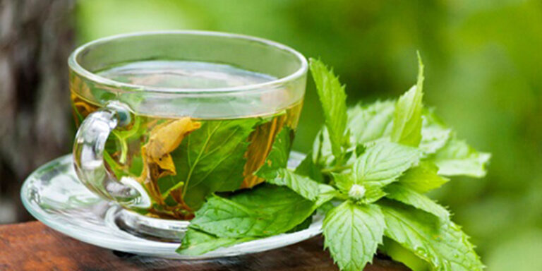 Recept za čaj od BOSILJKA koji efikasno rešava sve vrste glavobolja