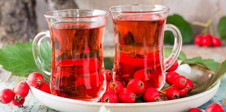 Čaj I tinktura od GLOGA: Može da obnovi SRCE i pomgne kod ovih bolesti! (RECEPTI)
