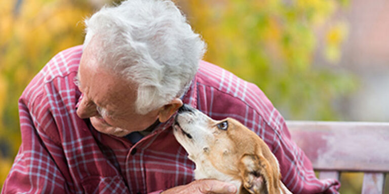 Dr Nestorović: Zdravstvene dobrobiti ako imate psa- Ovo je važno za starije osobe sa hroničnim bolovima u zglobovima ili kičmi
