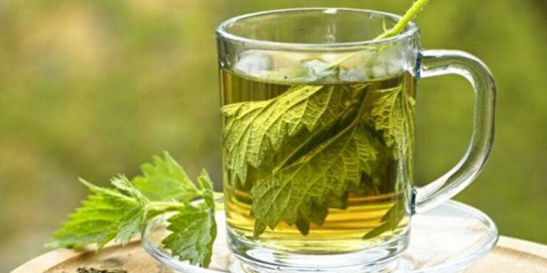 Čaj od KOPRIVE: Evo koje sve bolesti leči ova čudesna biljka (RECEPT)