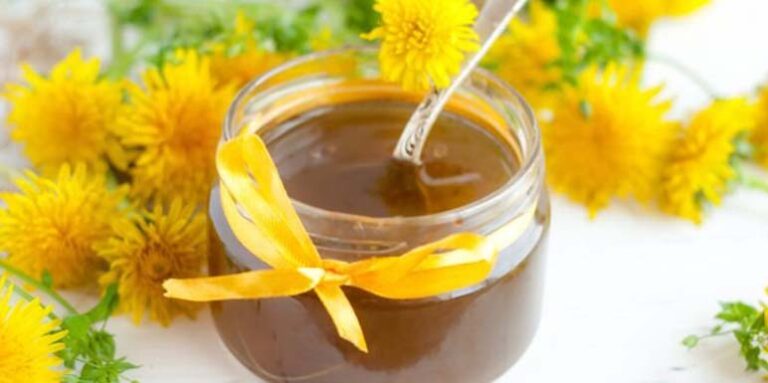 Džem od MASLAČKA regeneriše jetru i čisti krv bolje od bilo kog leka (RECEPT)