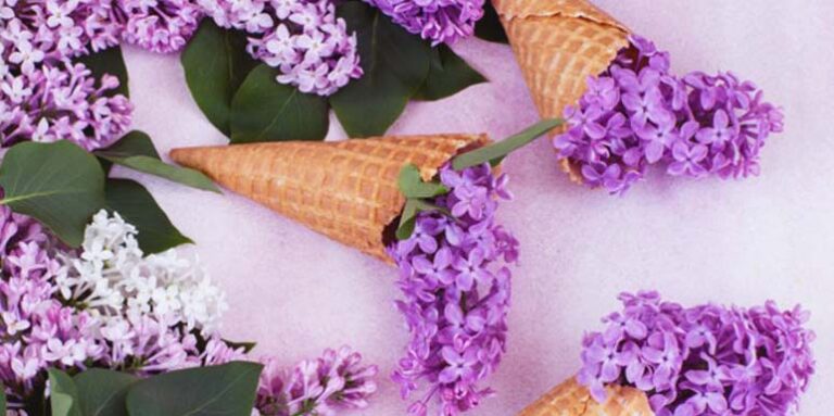 Sladoled od JORGOVANA (recept)