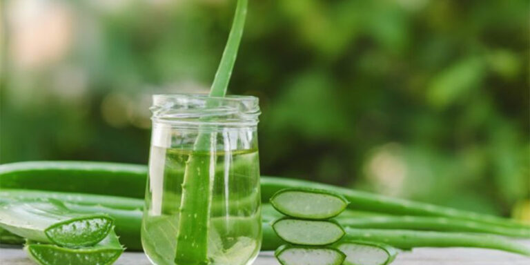 ALOE VERA – Leči sve od glave do pete, pa čak i RAK (20 recepata)