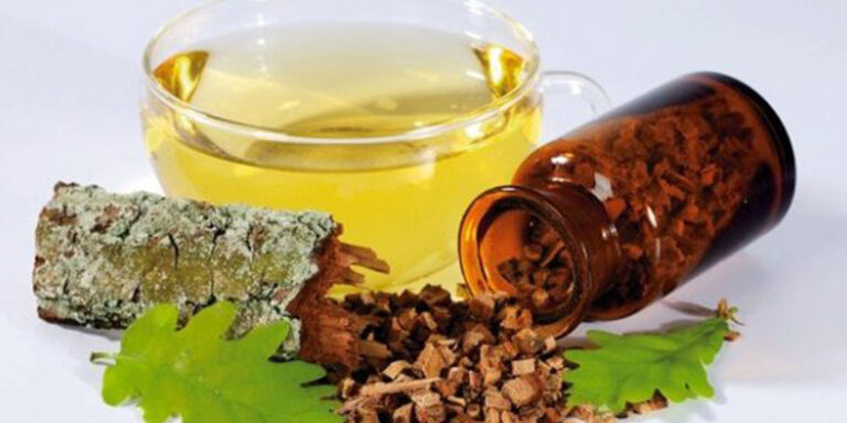 Čaj od hrastove kore za lečenje oboljenja organa za varenje, kožnih oboljenja (RECEPT)