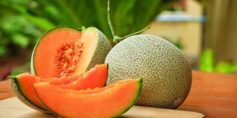 DINJA – Od smanjivanja širenja raka do potpunog zaustavljanja… (RECEPT)