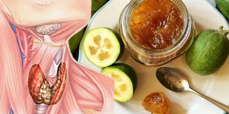 Kad oboli ŠTITNA ŽLEZDA – Ruska narodna medicina ima lekove (RECEPTI)