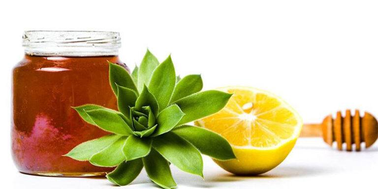Sirup od ČUVARKUĆE, MEDA i LIMUNA – Preporodiće vam organizam (RECEPT)