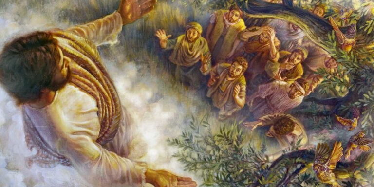 Učenje o metempsihozi i reinkarnaciji sa hrišćanskog gledišta