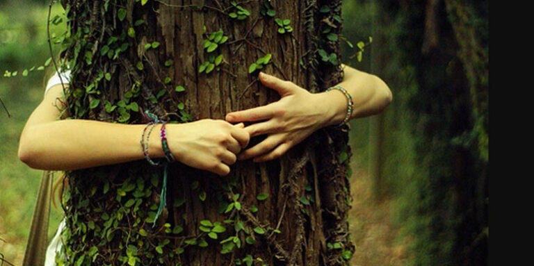 Dendroterapija: Drveće koje leči – Gde je mit, a gde počinje stvarnost?
