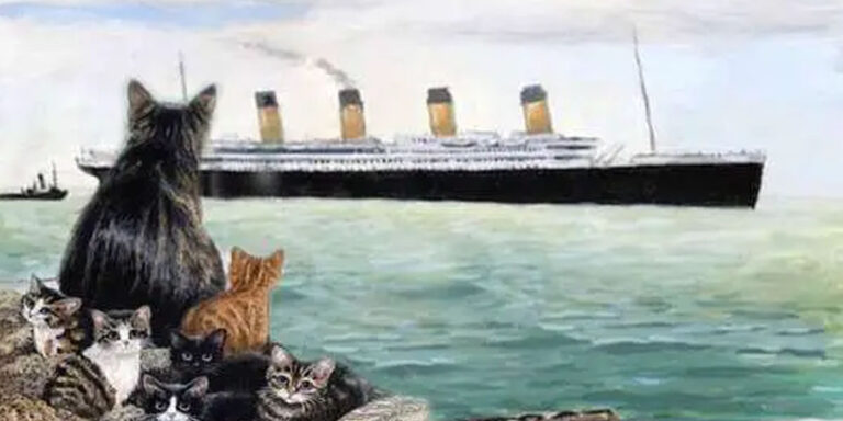 Kako je mačka spasila svoje mačiće i ložača sa Titanika